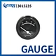 GAUGE